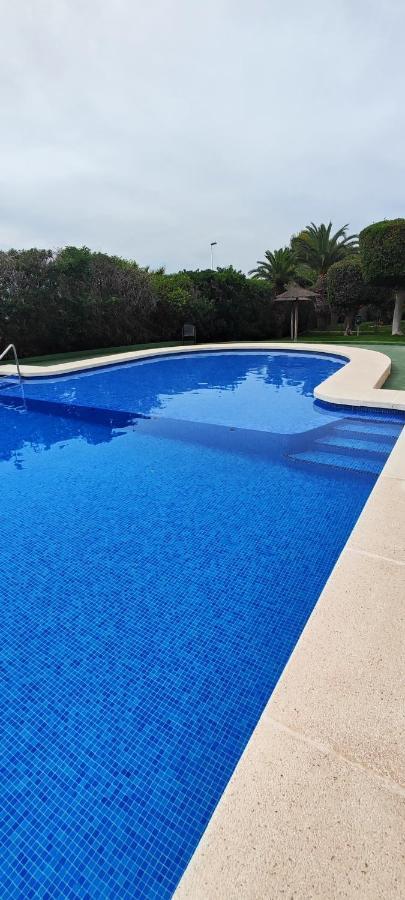 Parque Aromatico Con Dos Piscinas Lägenhet Torrevieja Exteriör bild